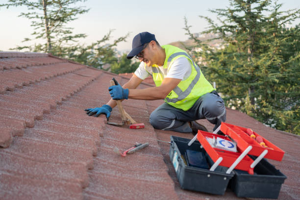 Best Roof Maintenance Services  in Mccrory, AR