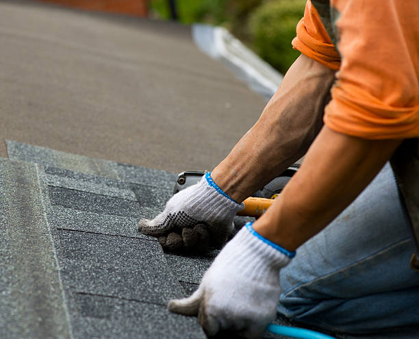 Best Roofing Contractor Near Me  in Mccrory, AR