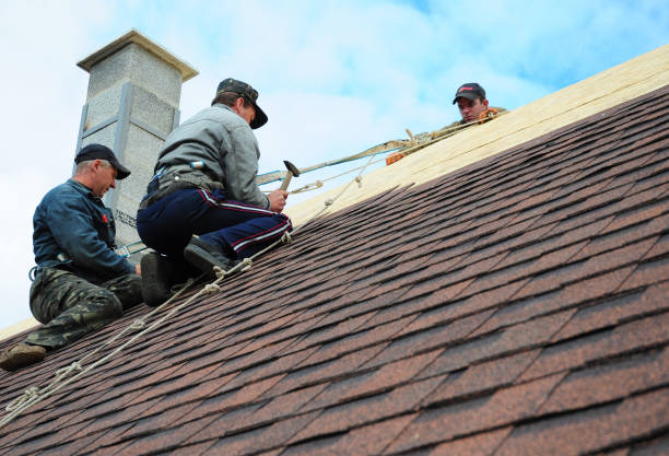 Best Gutter Installation and Roofing  in Mccrory, AR